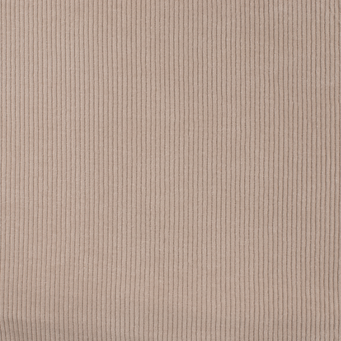 Jersey Cord Florida Sand